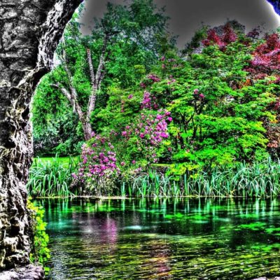 Ninfa
